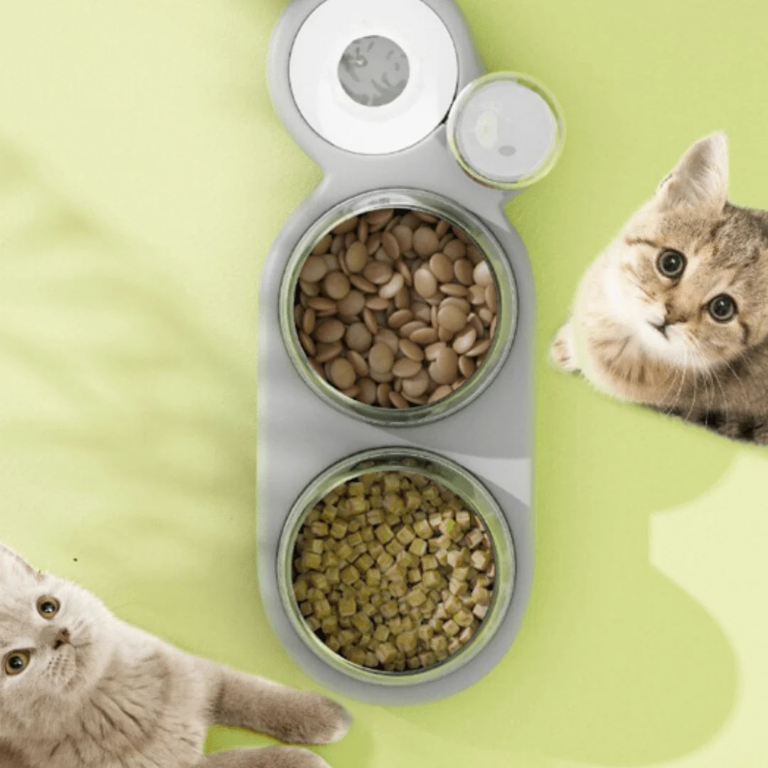 3 in 1 Elevated Pet Bowl With Water Fountain - Image 15