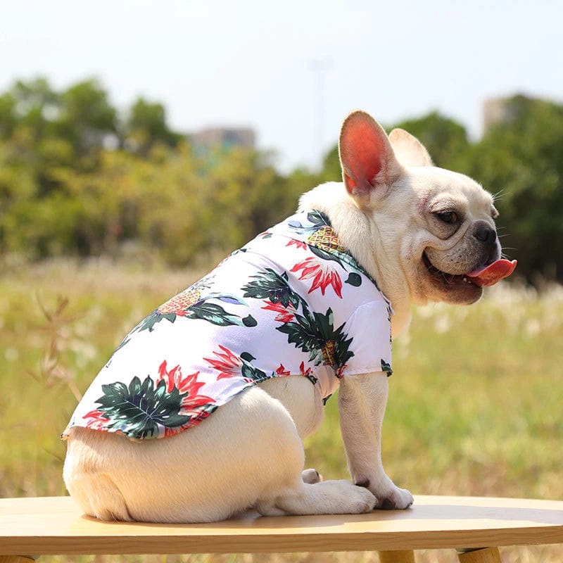 Aloha Dog Shirts - Image 3
