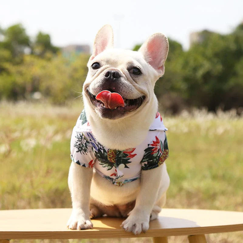 Aloha Dog Shirts - Image 5