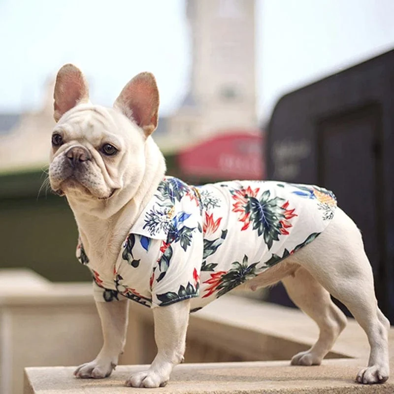 Aloha Dog Shirts - Image 7