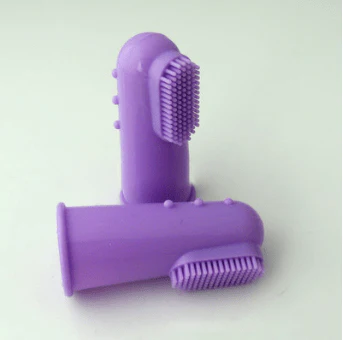 Canine Clean Fingerbrush - Image 13