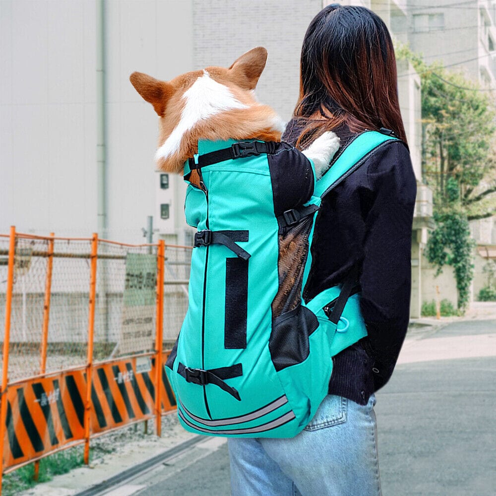 Companion Hiking Dog Backpack - Image 5