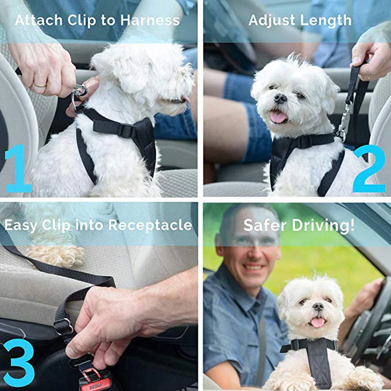Seat Belt Safety Leash - Image 6