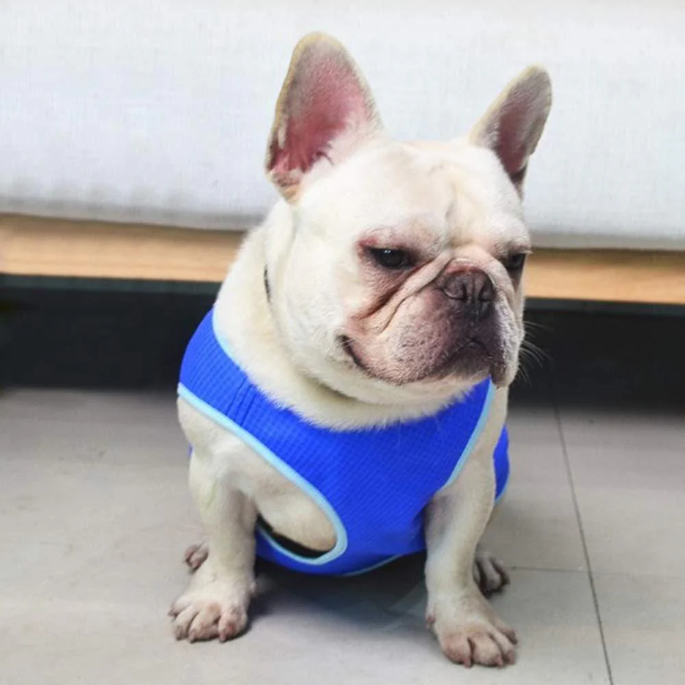 Summer Cooling Vest - Image 3