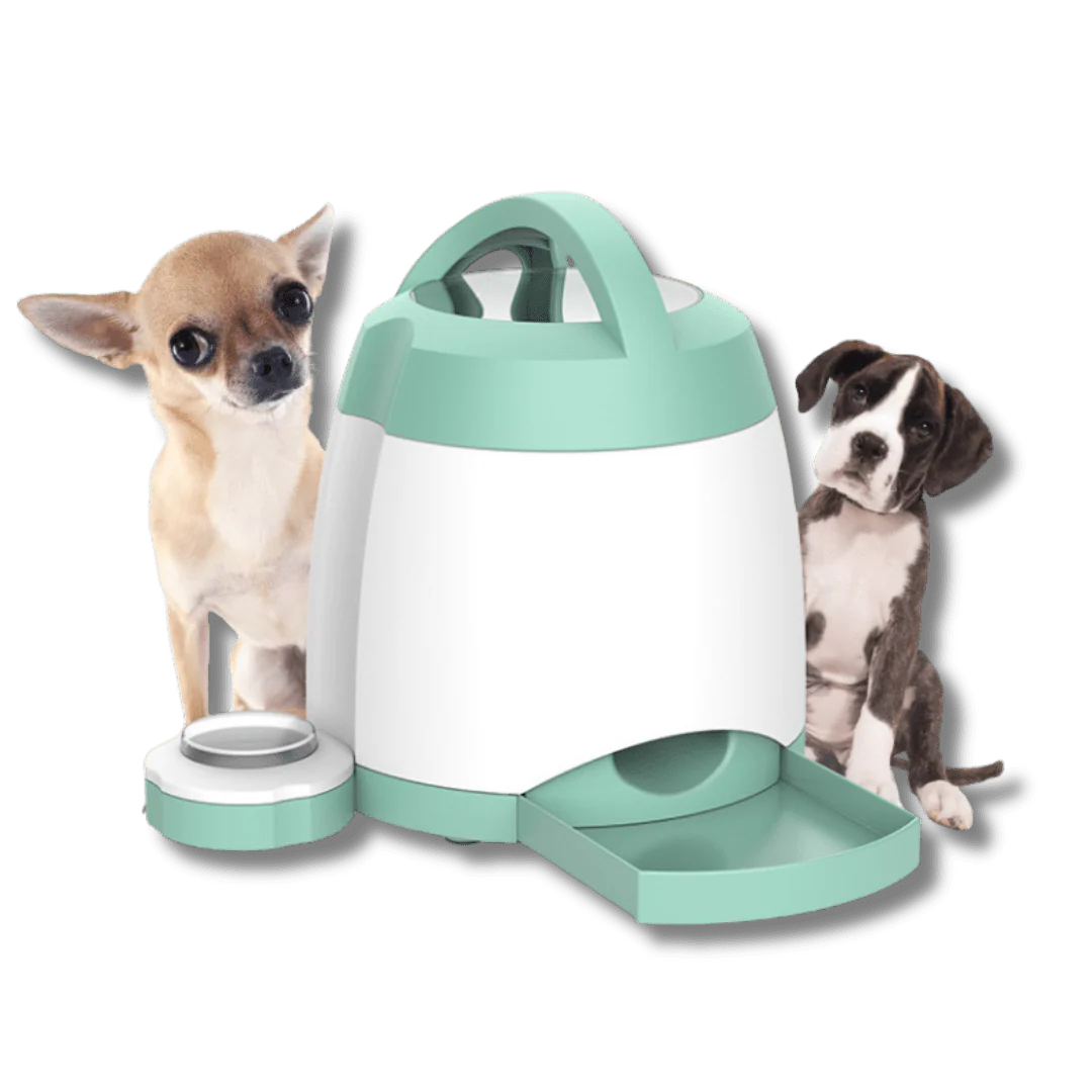Easy Eats Kibble Dispenser