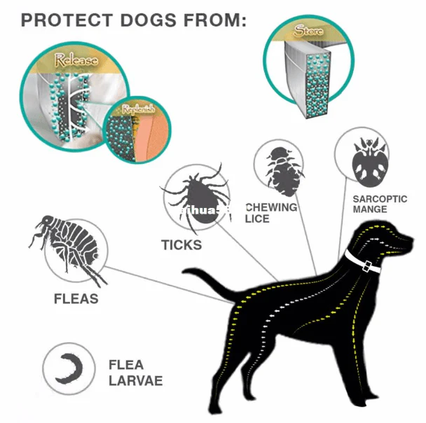 Essential Oil Flea & Tick Collar - Image 6