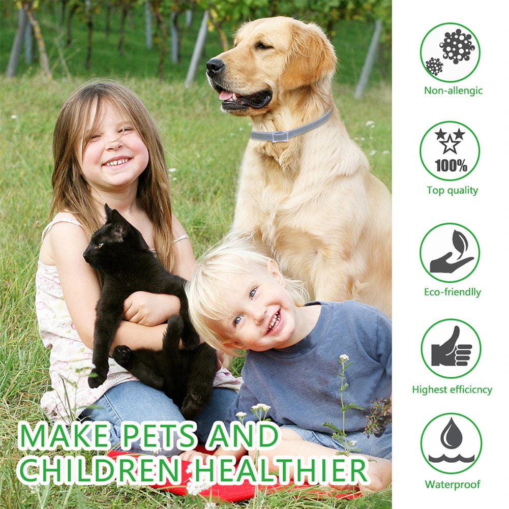 Essential Oil Flea & Tick Collar - Image 7