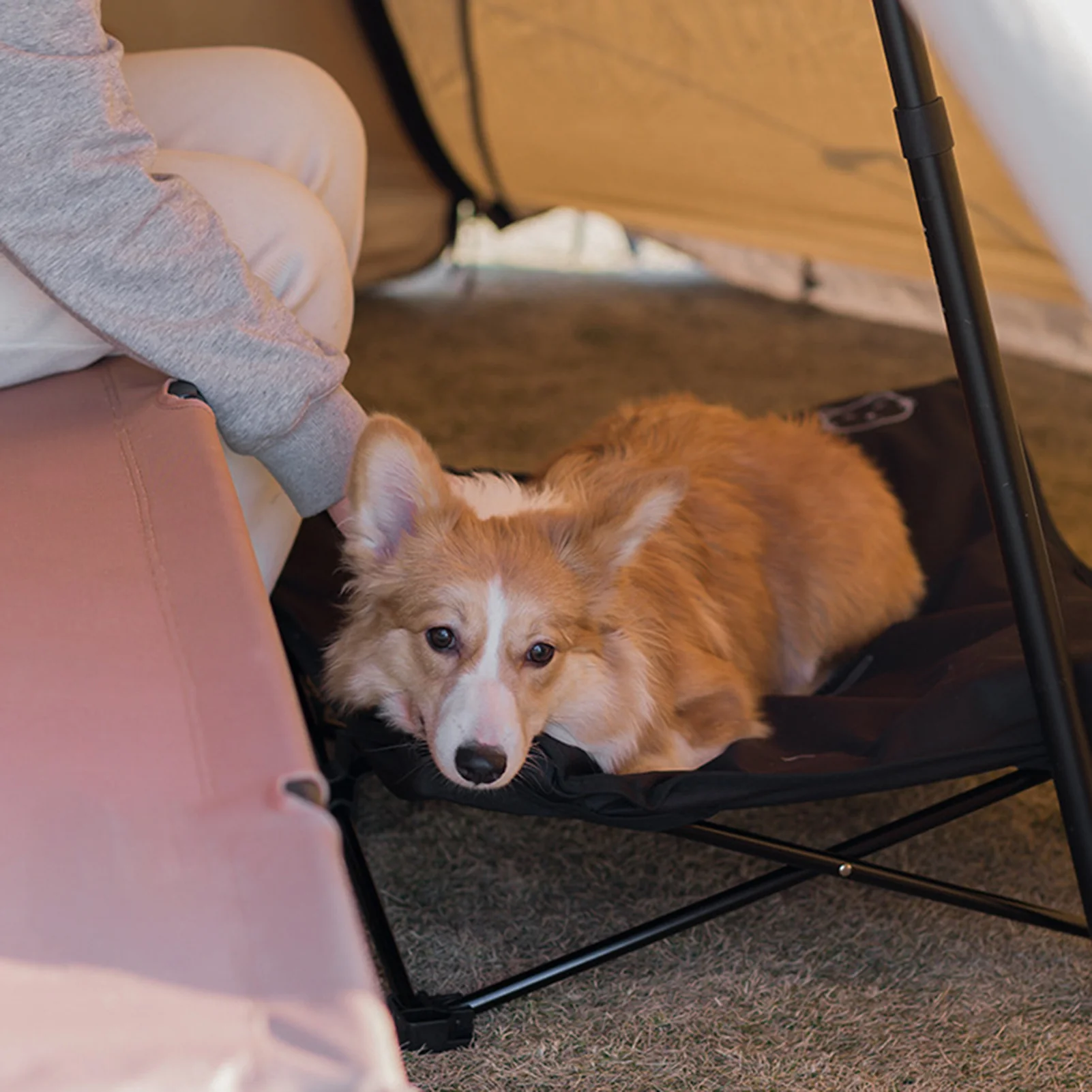 Fold & Go Outdoor Pet Bed - Image 5