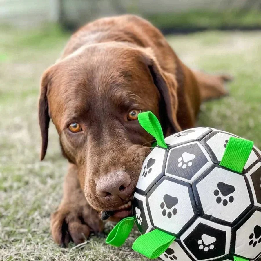 Grab Tab Football - Image 8
