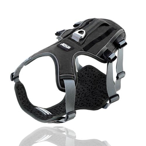 K9 Harness - Image 4