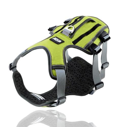 K9 Harness - Image 5