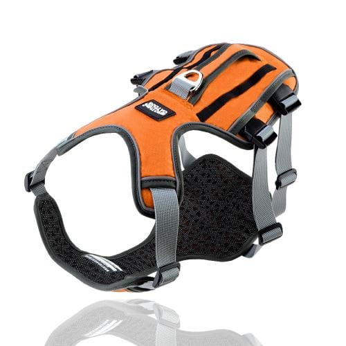 K9 Harness - Image 7