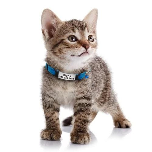 Personalized Engraved Cat Collars - Image 6
