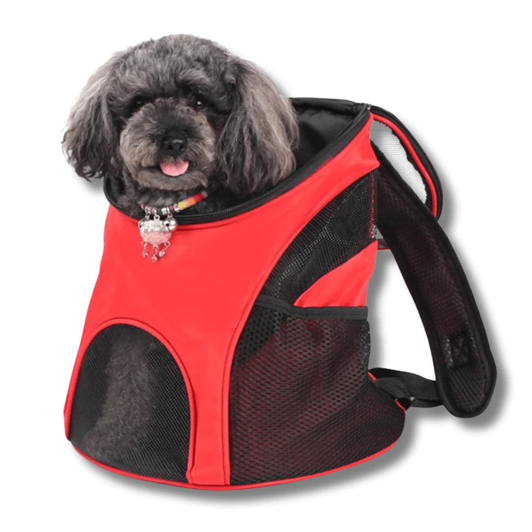 New items - Dog