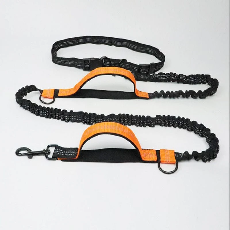 Pet Running Traction Leash - Image 4