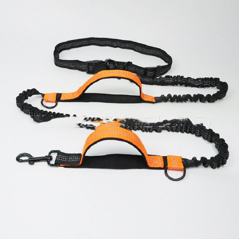 Pet Running Traction Leash - Image 5