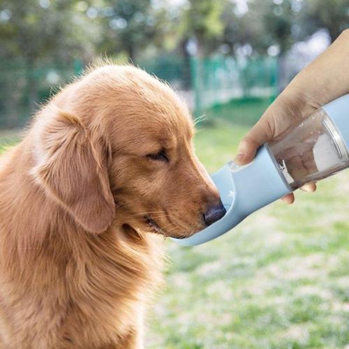 Portable Multifunction Pet Water Bottle - Image 6