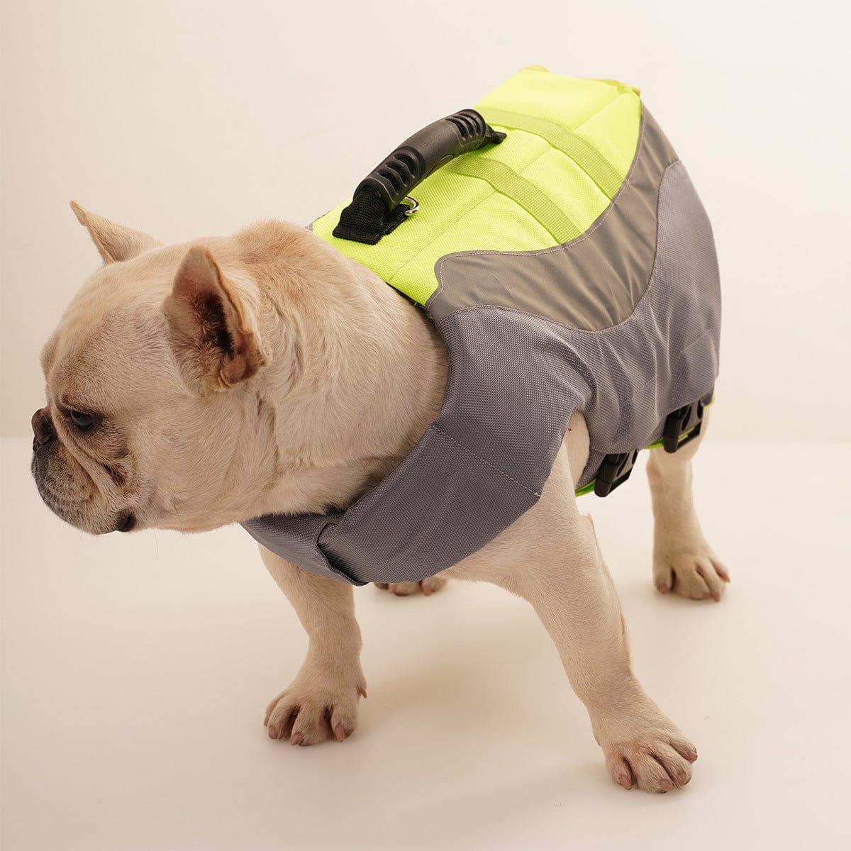 Reflective Life Jacket for Dogs - Image 5