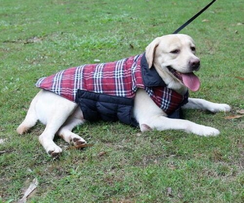 Reversible Warm Dog Coats - Image 3