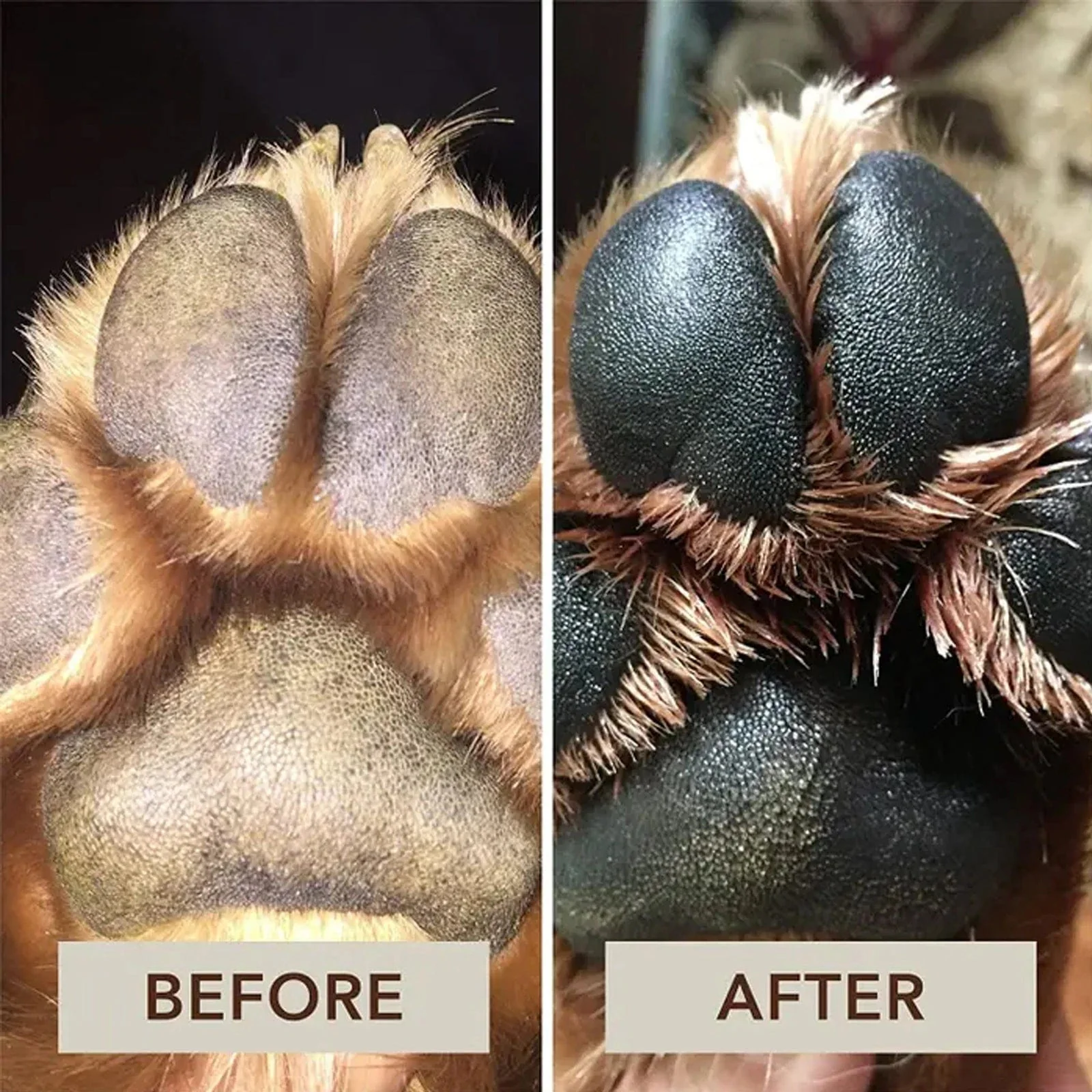 Pet Paw Balm - Safe And Edible - Image 4