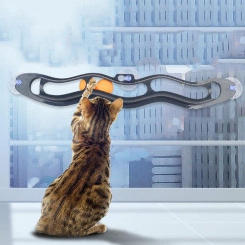 Sale Items - Cat