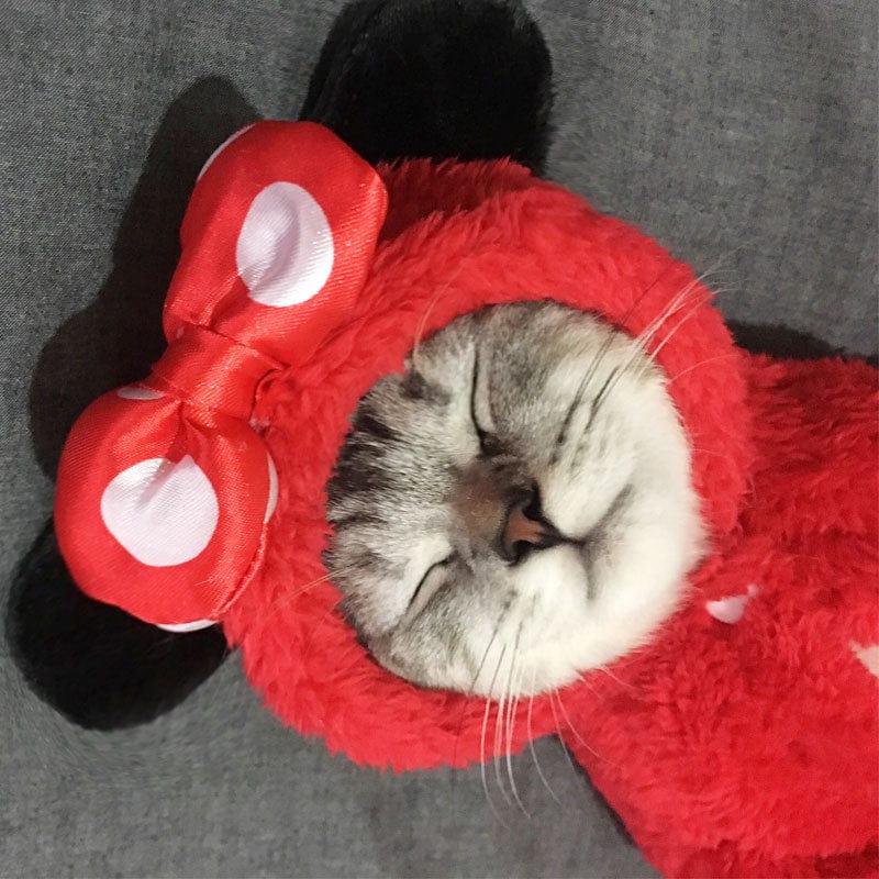 Teddy Bear Cat Hoodies - Image 7