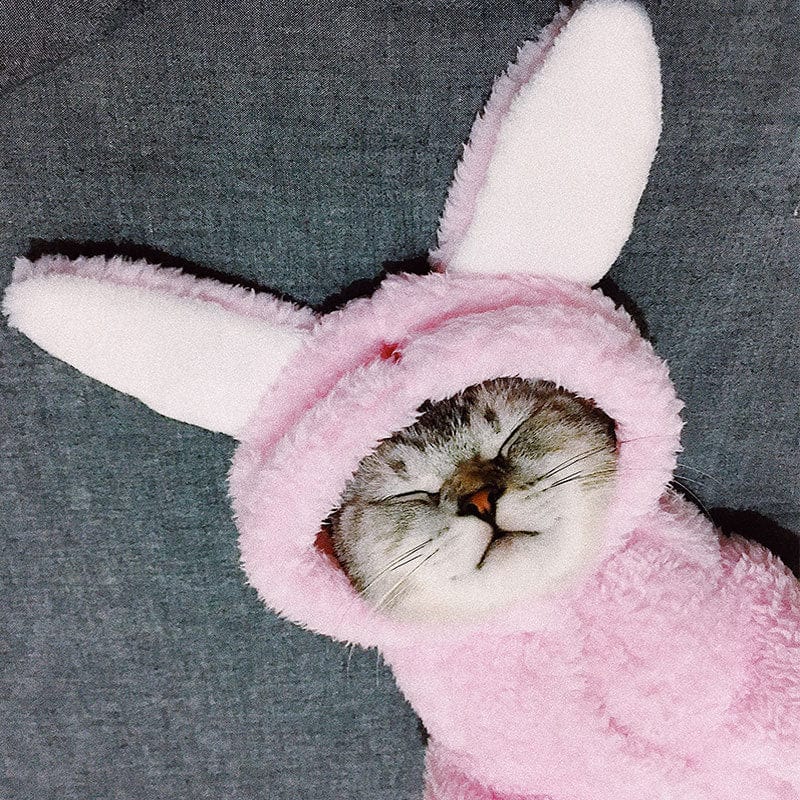 Teddy Bear Cat Hoodies - Image 9