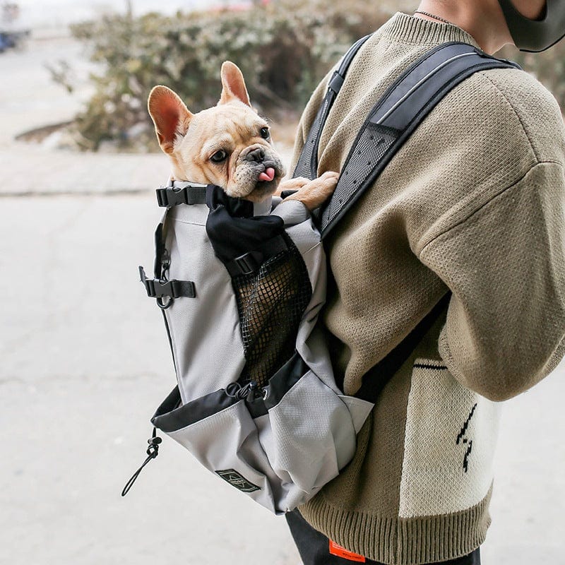 Hiking Backpack Dog Carrier - Image 2