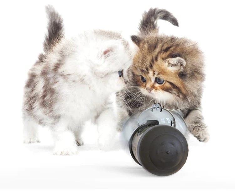 Treat Dispensing Balance Toy - Image 3