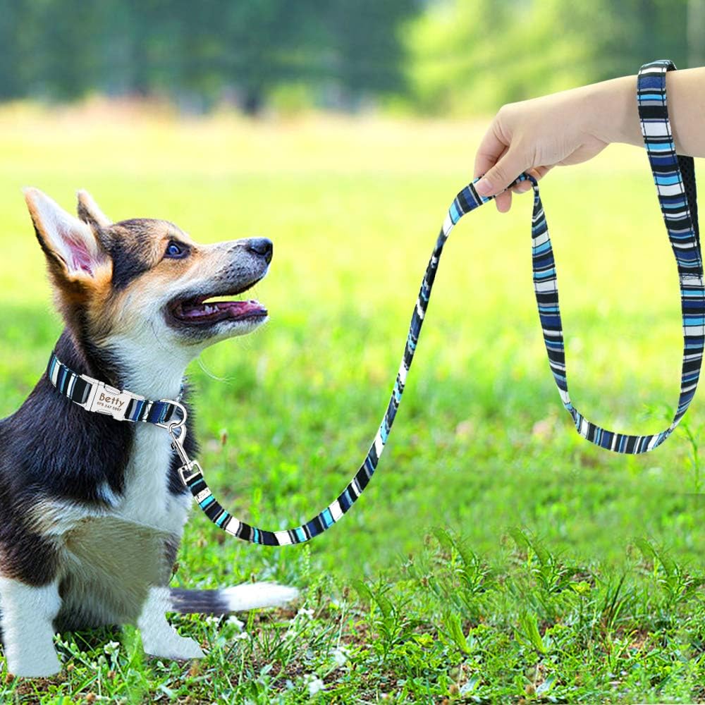 Trendy Personalisable Collar and Leash Sets - Image 3