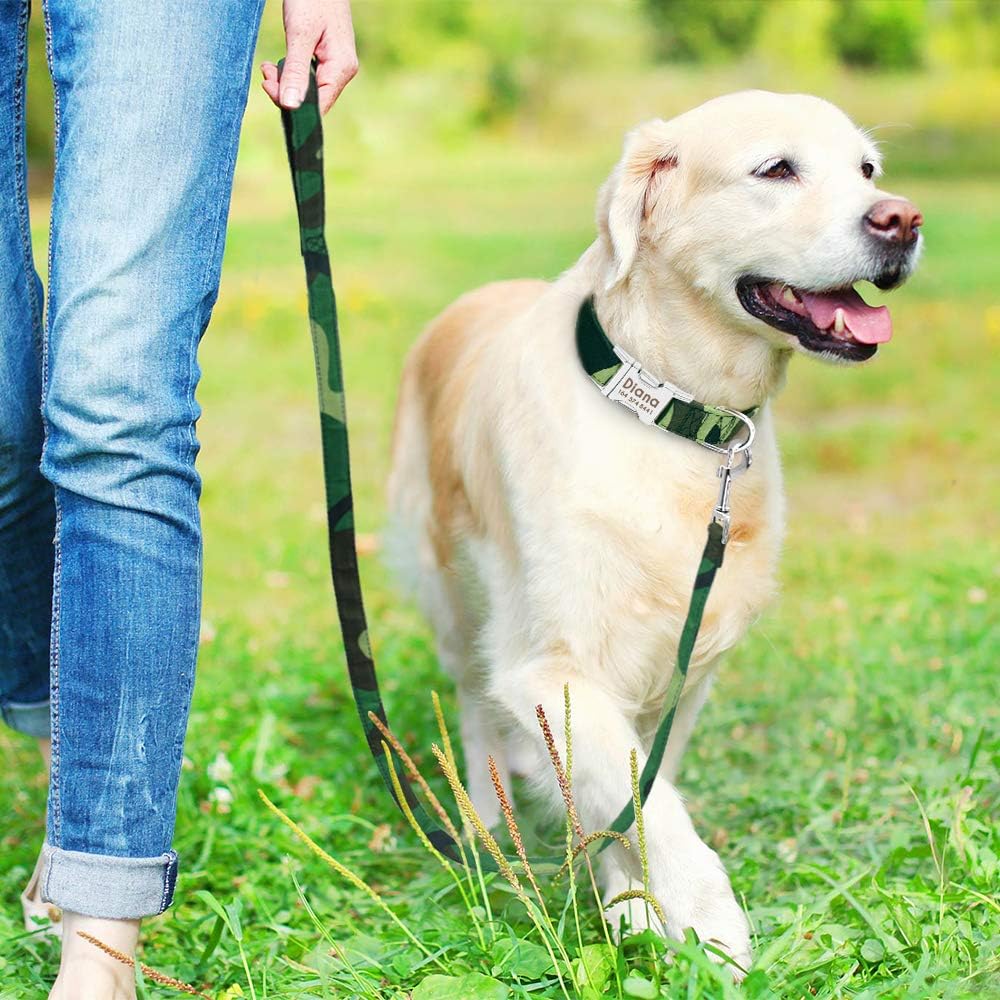 Trendy Personalisable Collar and Leash Sets - Image 4