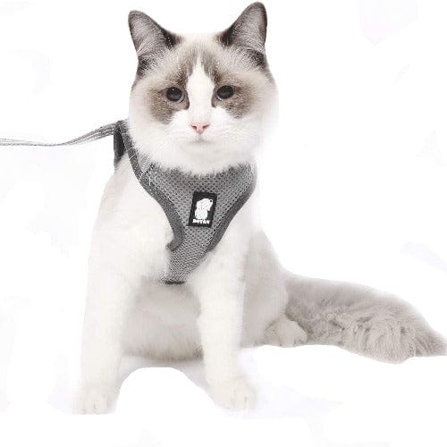 Ultimate Comfort Cat Harness - Image 5