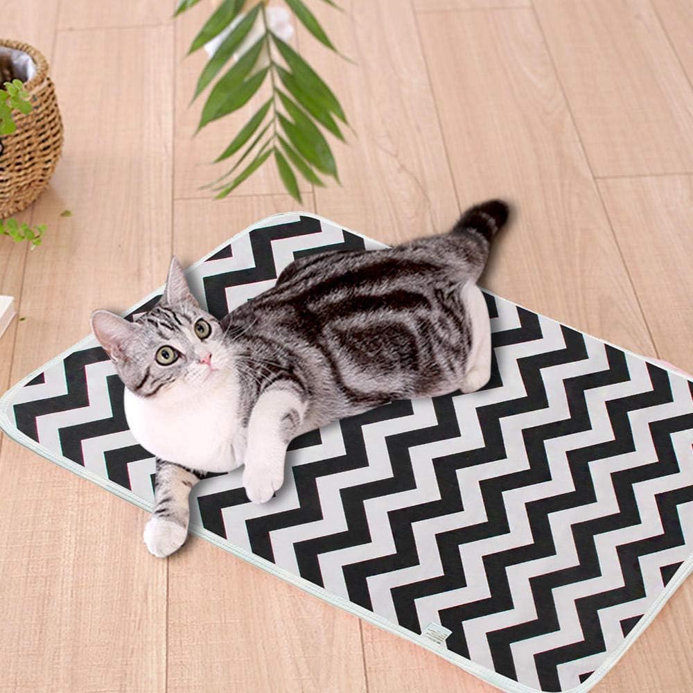 Washable Training Pee Pad - Image 4