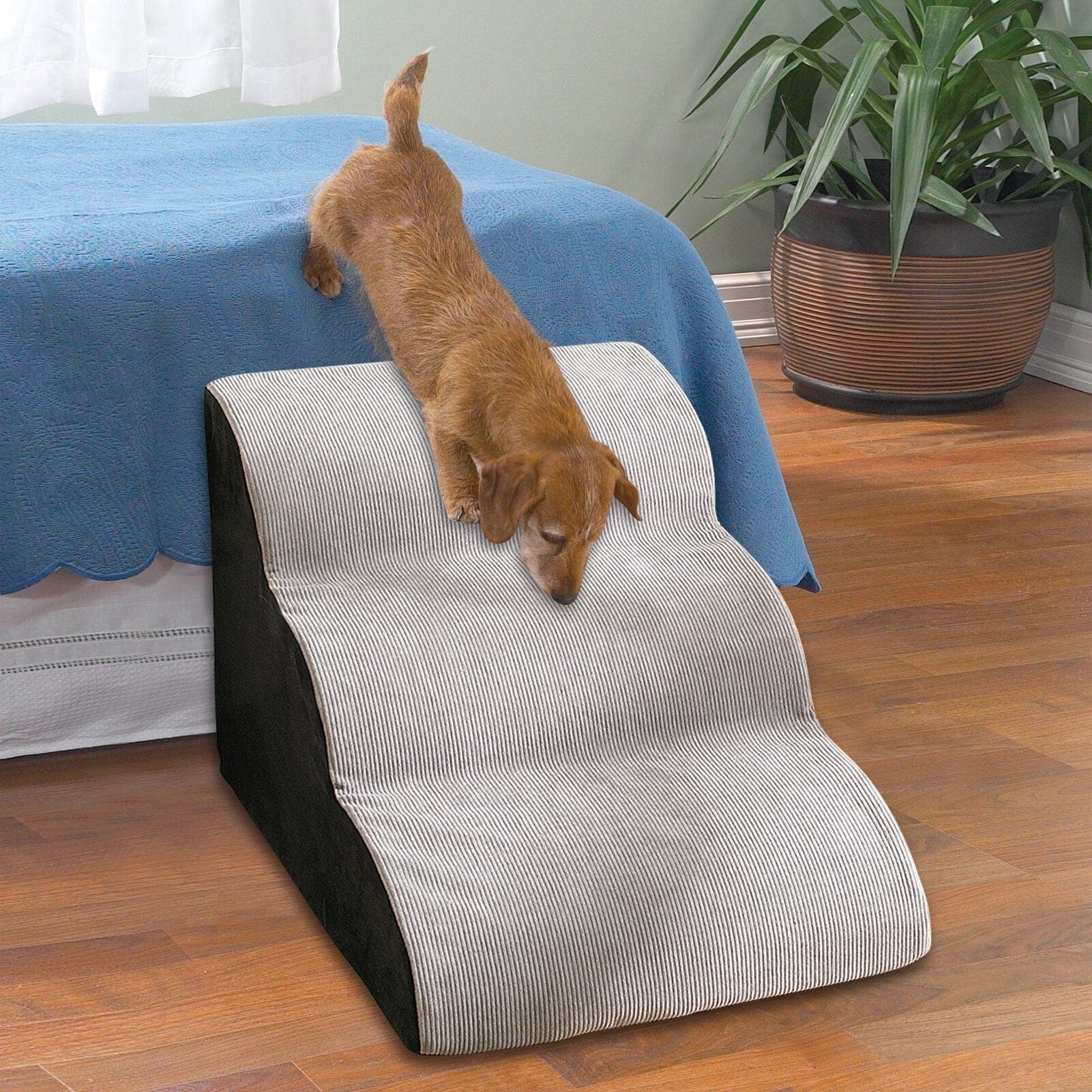 Wavy Dog Stairs - Image 3