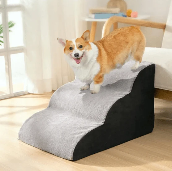 Wavy Dog Stairs - Image 4