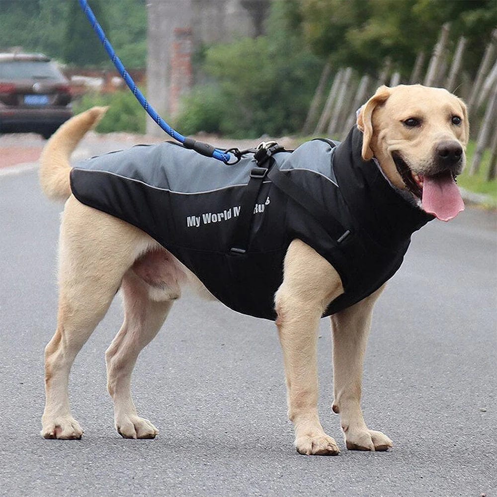 Winter Jacket with Harness & Faux Fur - Image 4